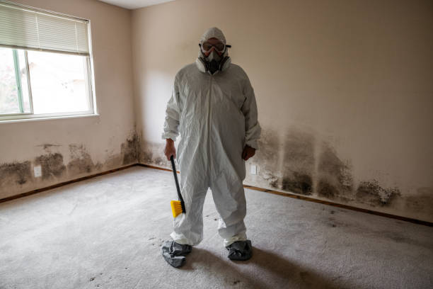 Best Residential Mold Remediation in Middletown, MD
